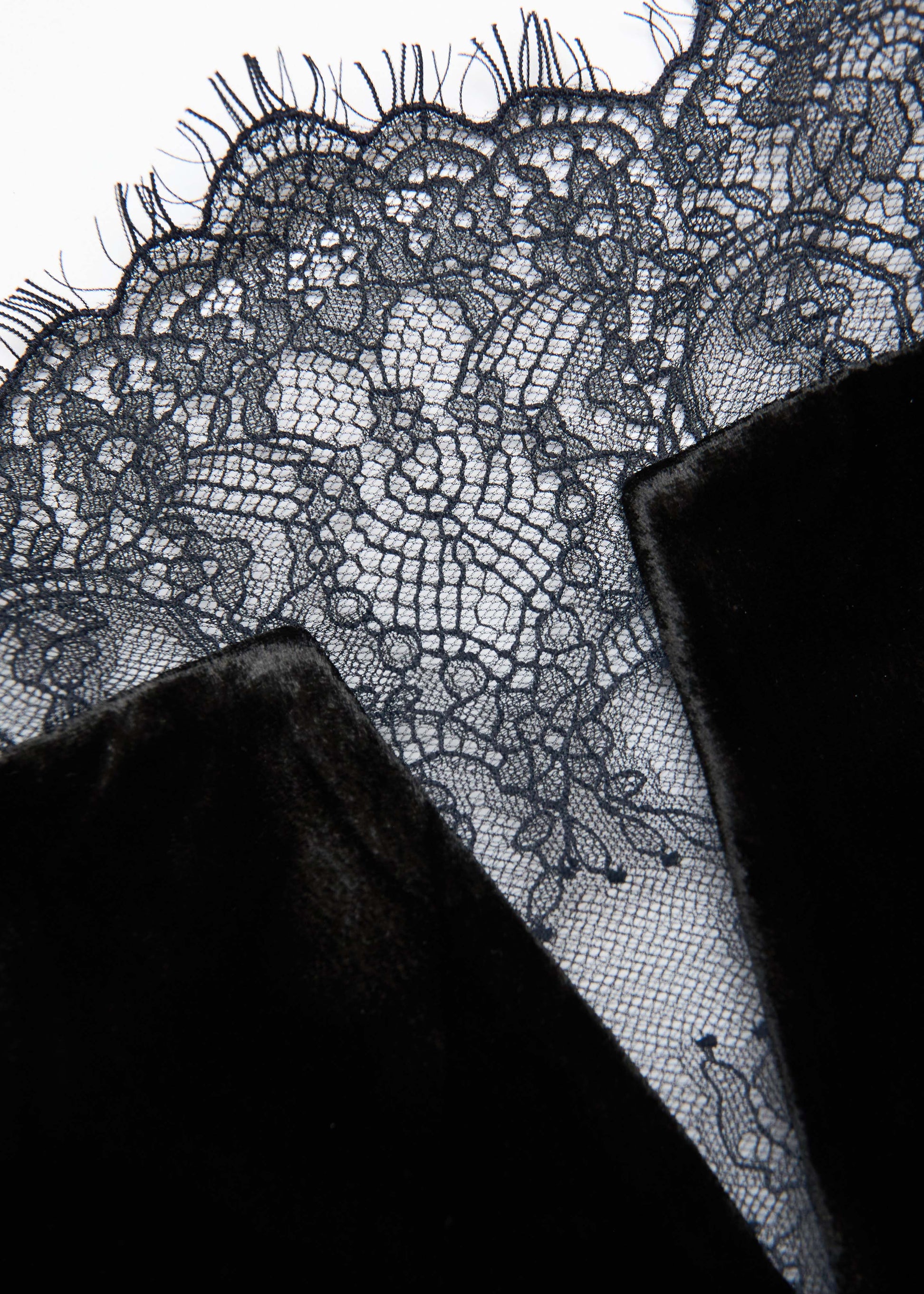 Scalloped Lace And Velvet Gown